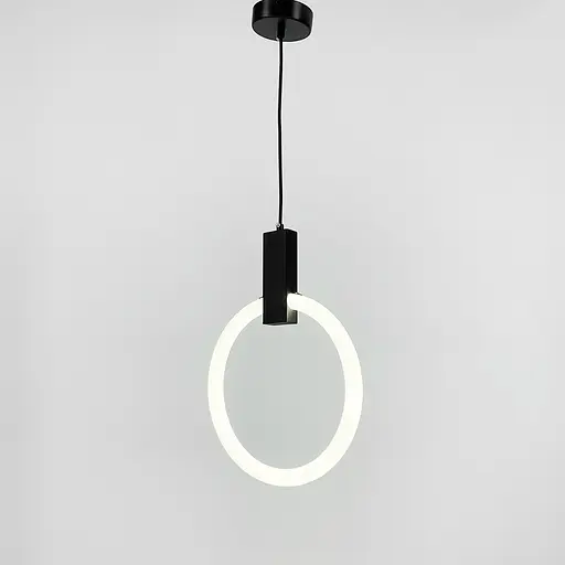 Кільцевий підвіс у чорному корпусі Ø 30 см | Арт. MJ 135-300 | Line F - фото 3