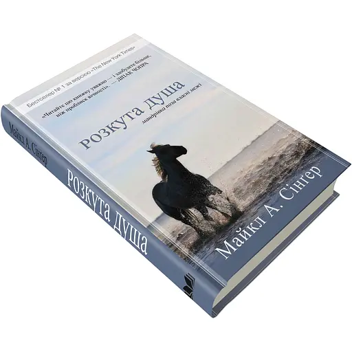 Раскованная душа. Путешествие вне собственных границ - Майкл Сингер - фото 3