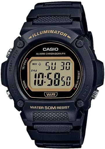 Часы Casio Timeless Collection W-219H-1A2VEF