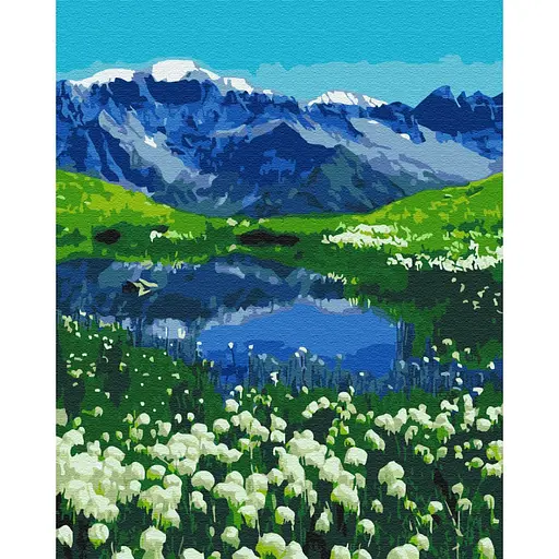 Картина по номерам Альпийские луга Brushme 40x50 см разноцветная 000221097