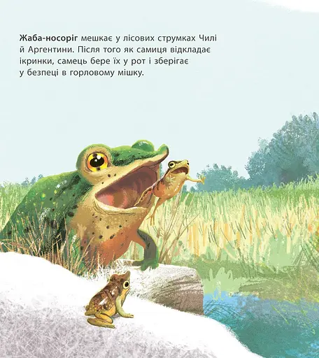 Книга Ранок Дивовижні дитинчата тварин - Кріс Пакхем (С884001У) - фото 6