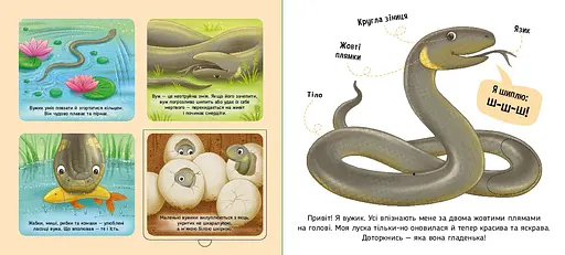 Познайомся і погладь: Лісові тварини - Ірина Потаніна (557587) - фото 3