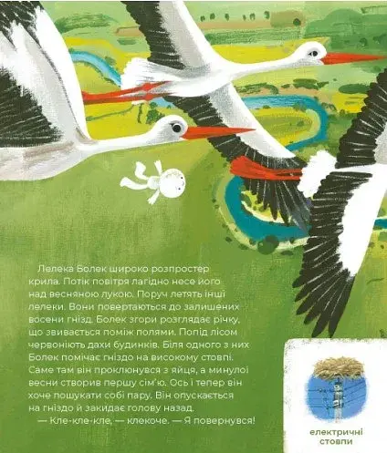 Відкривай Тулі-Тулі Дух-опікун тварин розповідає історії про них - фото 2