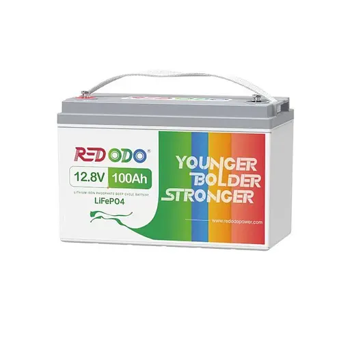 Акумуляторна батарея LiFePO4 Redodo 12 V 100 Ah 1280Wh BMS 100A - фото 1