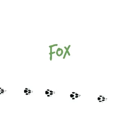 Forest Animals - фото 3