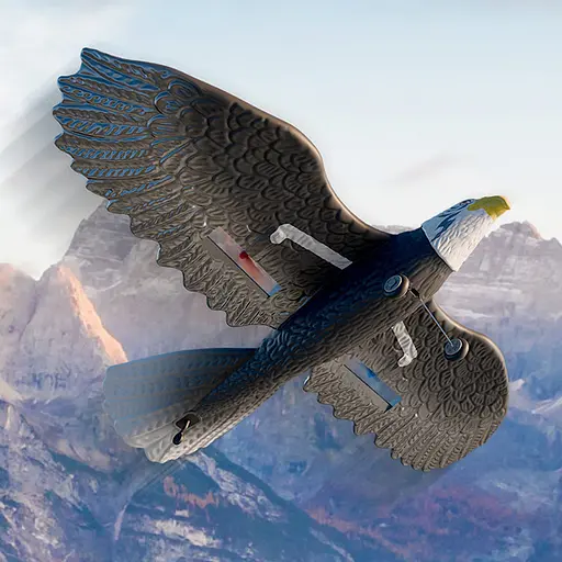 Літак-птица на радіокеруванні SCHE HW40 Eagle Black - фото 2