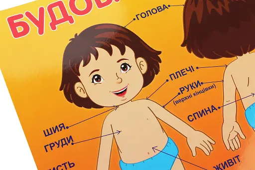 Плакат. Будова тіла людини - фото 2