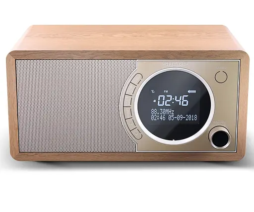 Портативна акустика Sharp DR-450(BR) (DR-450(BR)) - фото 2