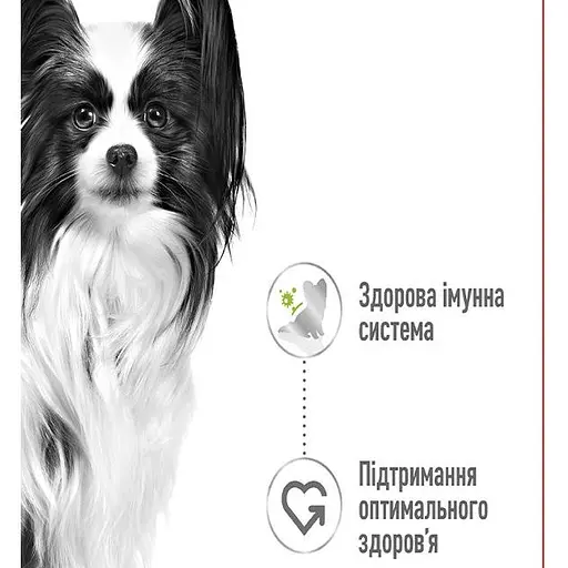 Вологий корм для дорослих собак мініатюрних розмірів Royal Canin X-Small Adult шматочки в соусі 1.02 кг (12 шт.  х 85 г) - фото 3