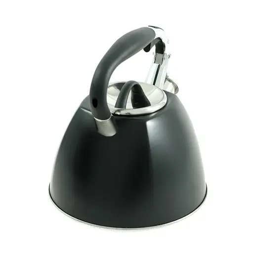 Чайник со свистком 3 л из нержавеющей стали для индукционных плит Edenberg EB-1982 - фото 4