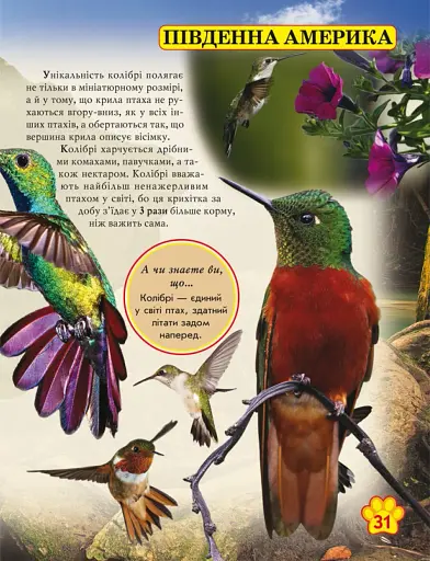 Світ навколо нас. Дикі тварини - фото 4