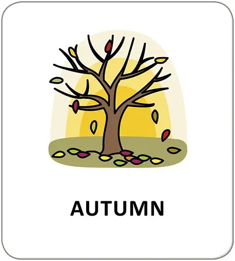 Картки з піктограмами. Природні явища. Пори року - фото 3