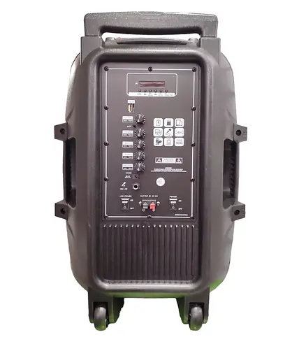 Профессиональная Bluetooth колонкa NDR-A55 15-дюймовая с беспроводным микрофоном - фото 6