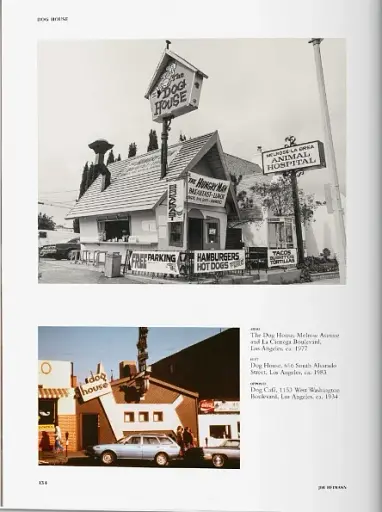 California Crazy. American Pop Architecture - фото 7