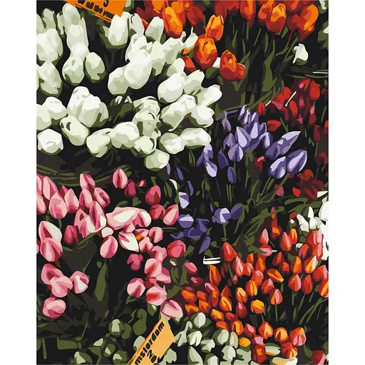 Картина за номерами Ярмарок тюльпанів Brushme 40x50 см кольоровий 000276562