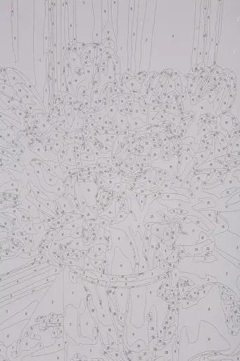 Набір для розпису по номерах "Натхнення" 40*50 см, IDEA2-GX45434, ТМ "99IDEAS" - фото 7