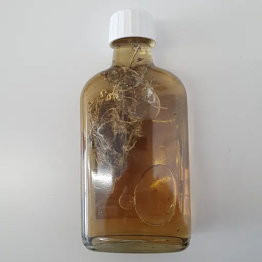 Водна настоянка на траві сушениця сухоцвіт болотний 200 мл - фото 2