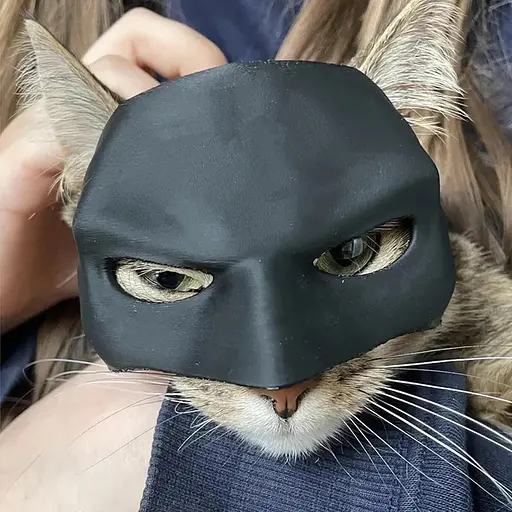 Летучая мышь-кошка - Маскбат Кот Маска Кот - фото 5