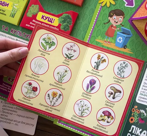 Рослини. Лепбук - фото 3