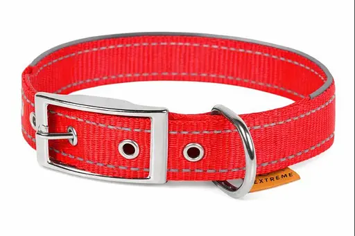 Ошейник "Dog Extreme" из нейлона двойной со светоотражающей вставкой (ширина 20мм длина 30-40см) красный