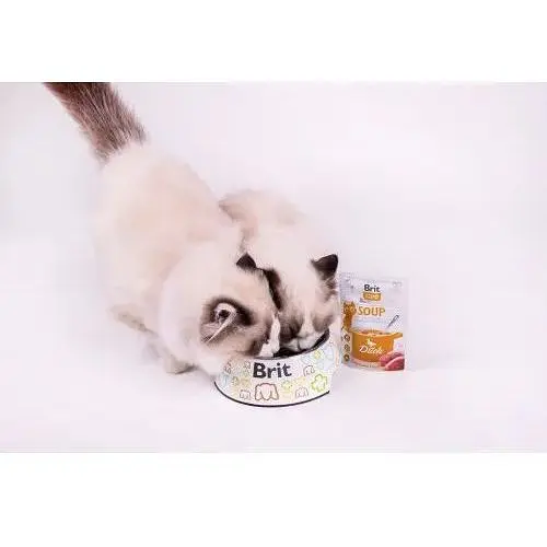 Корм влажный Brit Care Soup with Duck с уткой 75 г - фото 5