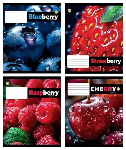 Зошити учнівські 12 аркушів коса лінія 25 штук в упаковці ТЕ43101