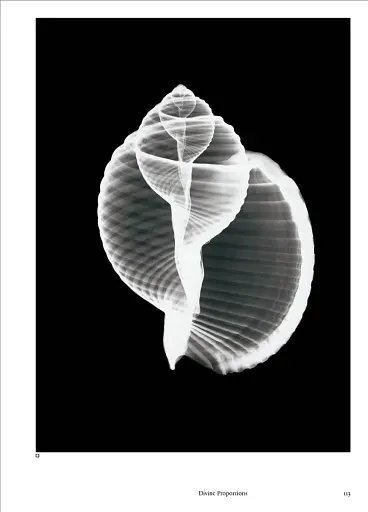 The Cosmic Dance. Finding Patterns and Pathways in a Chaotic Universe - фото 17