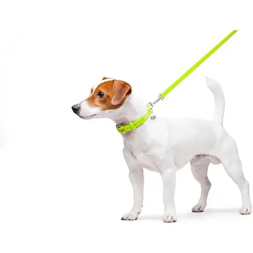 Повідець для собак Waudog Glamour шкіряний, салатовий - фото 3