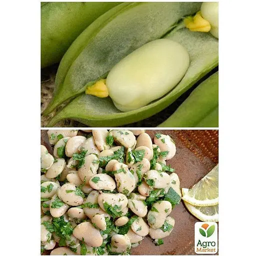 Бобы "Белые" ТМ "Весна" 10г (22321) - фото 3