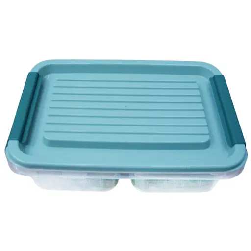 Контейнер для хранения пищевых продуктов Ardesto Fresh двухсекционный 2х250 мл голубой (AR1302B)