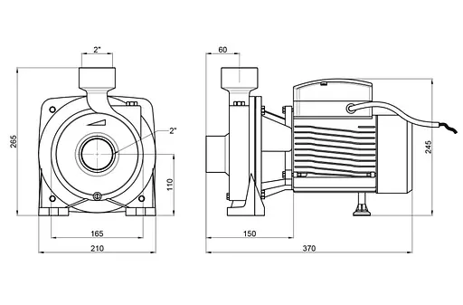 Насос поверхневий відцентровий Thermo Alliance CPm200/2 - фото 3