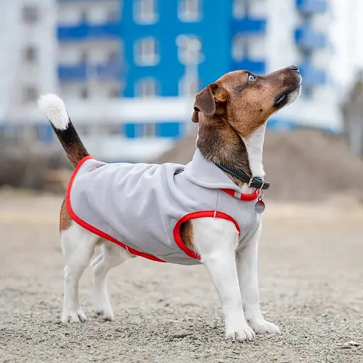 Жилет для собак Pet Fashion Fleecy M серо-красный - фото 4