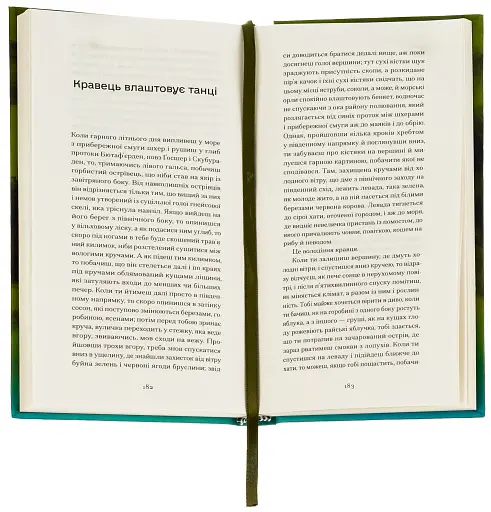 Нікуди не дінешся. Оповідання - фото 4