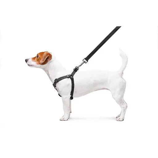 Шлей для собак водостойкий Waudog Waterproof с QR-паспортом металлическая пряжка-фастекс Ш 15 мм Д 40-55 см черный - фото 8