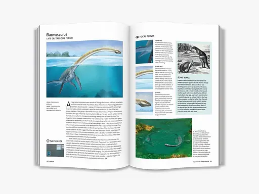 Evolution. The Whole Story - фото 2