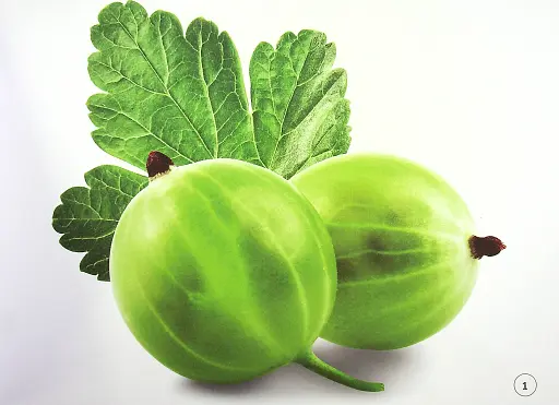 Зорові диктанти з української мови. 2 клас - фото 3