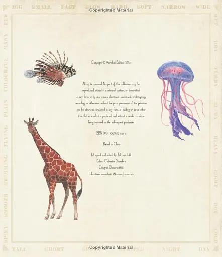 First Concept. Animal Opposites - фото 5