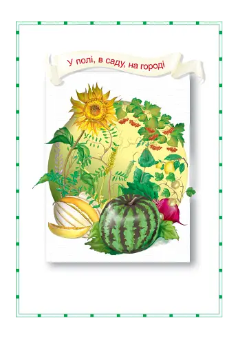 Я досліджую світ. 1-4 класи. Енциклопедія для чомусиків - фото 6