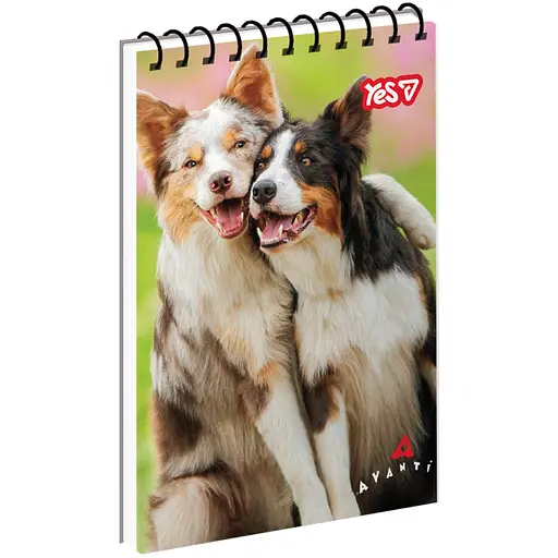 Зошит для записів Yes А7 Friendship 80 аркушів (152560)