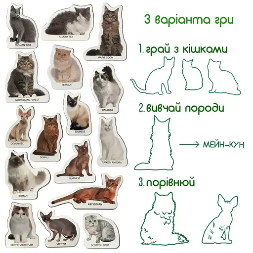 Набор магнитов Magdum "Породы кошек" ML4031-13 EN - фото 4