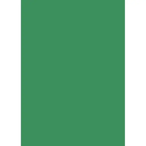 Папір для дизайну Folia Tintedpaper А4 (21x29.7см) №53 трав'яний 130г/м2 без текстури