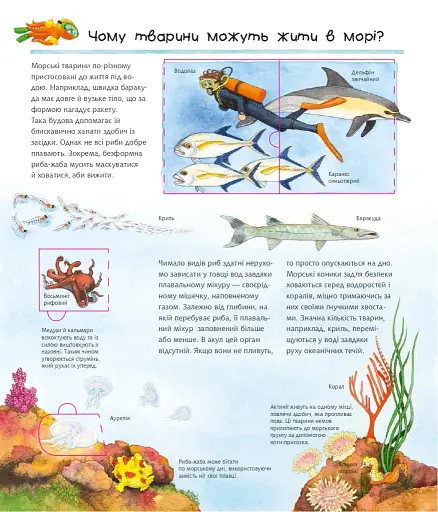 Досліджуємо морських тварин - фото 4