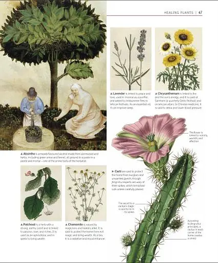 A History of Magic. Witchcraft and the Occult - фото 6