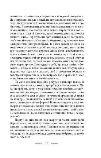 На високій полонині. Книга 2. Нові часи. Чвари - фото 11