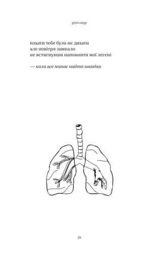 сонце та її квіти - фото 18