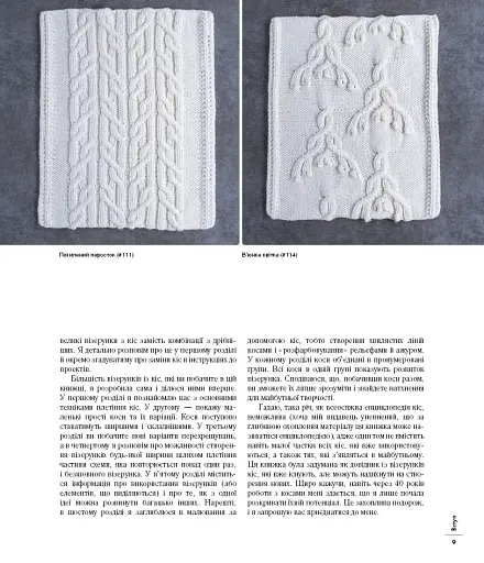 Енциклопедія візерунків. Джгути, коси, арани. Посібник із плетіння та дизайну - фото 8