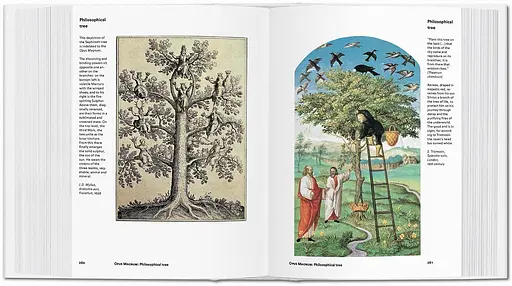 Alchemy & Mysticism - фото 6