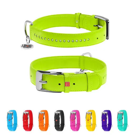 Ошейник для собак кожаный Waudog Glamour с QR-паспортом двойной со стразами L Ш 25 мм Д 38-49 см салатовый - фото 2