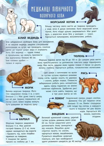 Енциклопедія з наліпками. Тварини світу - фото 6