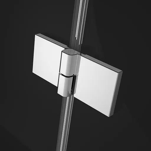 Душові двері Radaway Essenza New DWB 100 см 385077-01-01L - фото 4